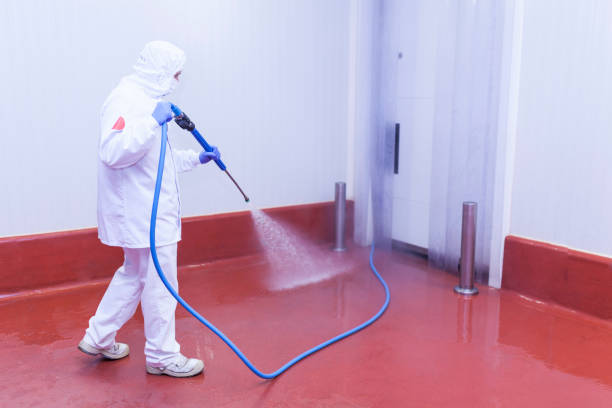 Best Rust and Stain Removal in Clark Mills, NY